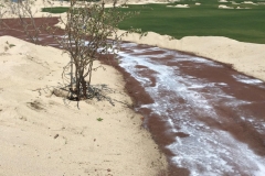Golf-Cart-Path-2