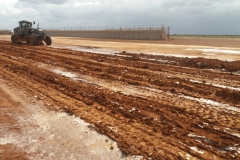 Rhino-Snot-Djibouti-2