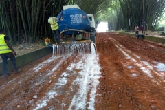 Botanical-Garden-Road-Stabilization-West-Africa