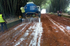 Botanical-Garden-Soil-Stabilization-2