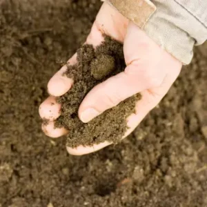 Reduce-Permeability-of-Soil